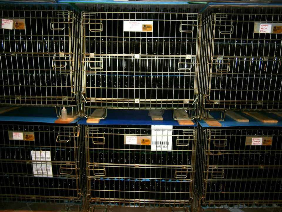 dItLkG_nikolou winery 19.jpg